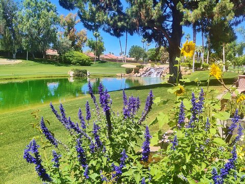 41715 Woodhaven Drive W, Palm Desert, CA 92211 photo 22