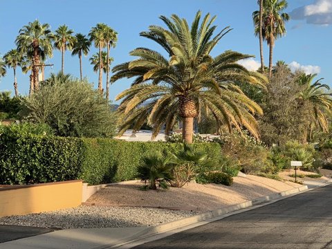 1444 N Rodeo Road, Palm Springs, CA 92262 photo 23