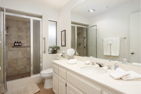 222 N Calle El Segundo, 502, Palm Springs, CA 92262 photo 11