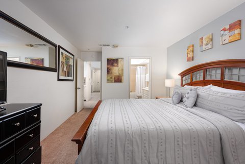 222 N Calle El Segundo, 502, Palm Springs, CA 92262 photo 13