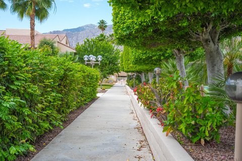 222 N Calle El Segundo, 502, Palm Springs, CA 92262 photo 23