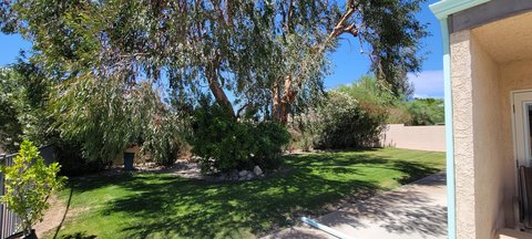 2625 N Cypress Road, Palm Springs, CA 92262 photo 44