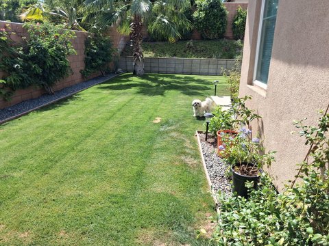 74317 Millennia Way, Palm Desert, CA 92211 photo 33
