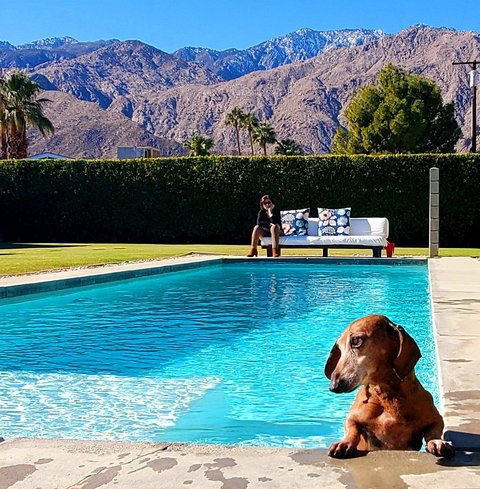 1272 N Riverside Drive, Palm Springs, CA 92264 photo 24