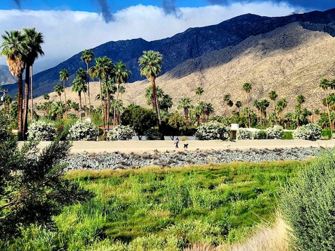 1272 N Riverside Drive, Palm Springs, CA 92264 photo 26