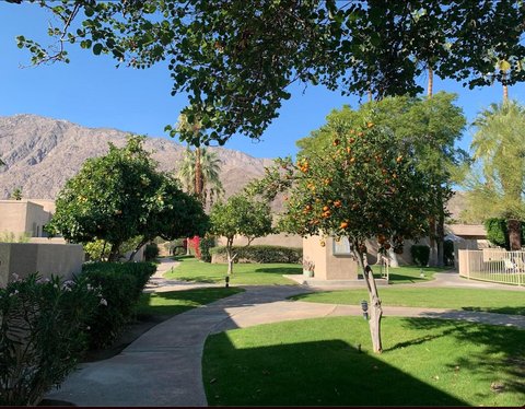 857 E Arenas Road, Palm Springs, CA 92262 photo 23