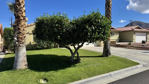 51920 Avenida Carranza, La Quinta, CA 92253 photo 36