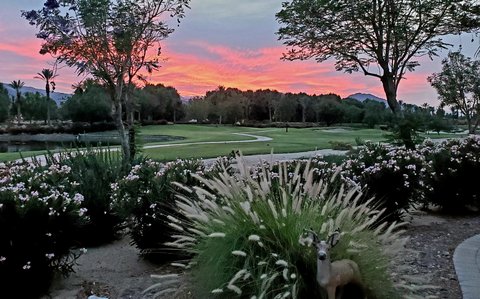 60553 Juniper Lane, La Quinta, CA 92253 photo 11