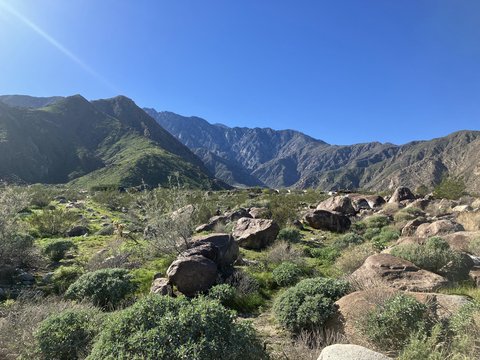 2321 Vista Palizada Drive, Palm Springs, CA 92262 photo 3