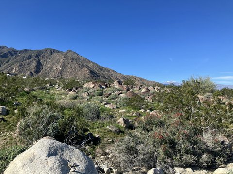 2321 Vista Palizada Drive, Palm Springs, CA 92262 photo 33
