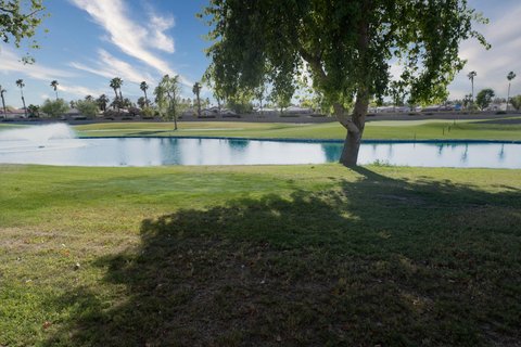 41327 Princeville Lane, Palm Desert, CA 92211 photo 3