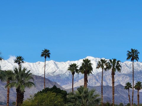 39556 Moronga Canyon Drive, Palm Desert, CA 92260 photo 39