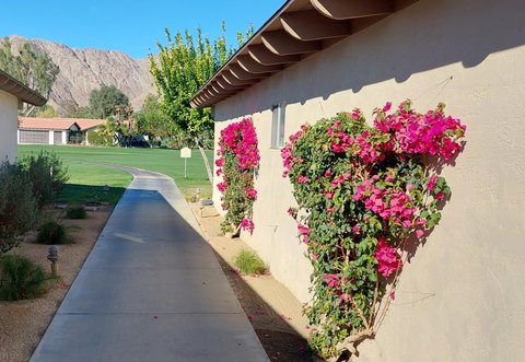 49091 Washington Street, La Quinta, CA 92253 photo 6